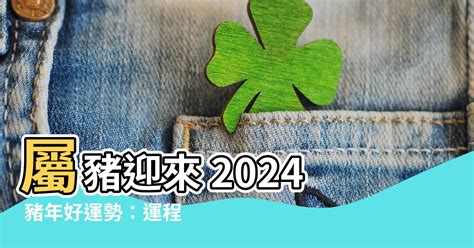 豬年運程|2024 肖豬流年運程 